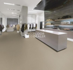 Forbo Tessera Layout & Outline 2114 Powder фото 2 | FLOORDEALER